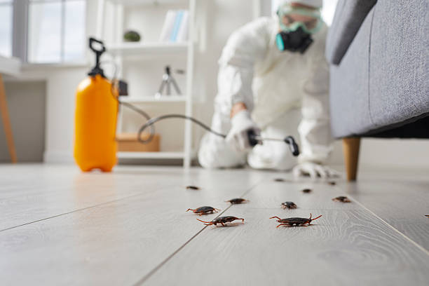 Post-Treatment Bed Bug Interceptor Monitoring in Fort Hood