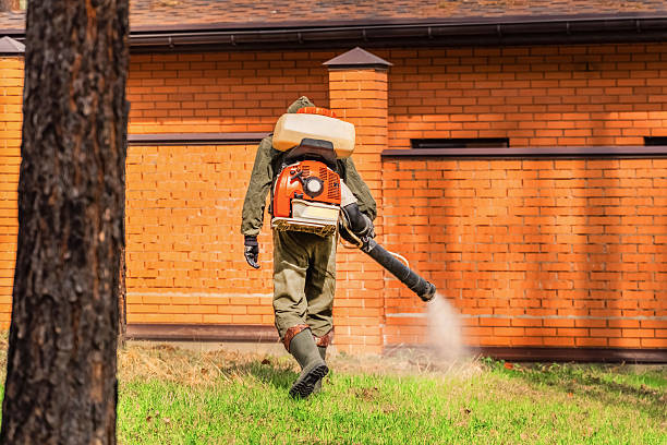 Bed Bug Clearance Verification and Documentation in Fort Hood